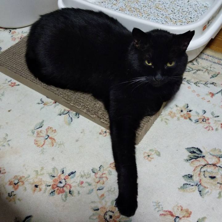 9e858bfa 3b49 401e a8d2 11c3b2b912ec 1617953976266