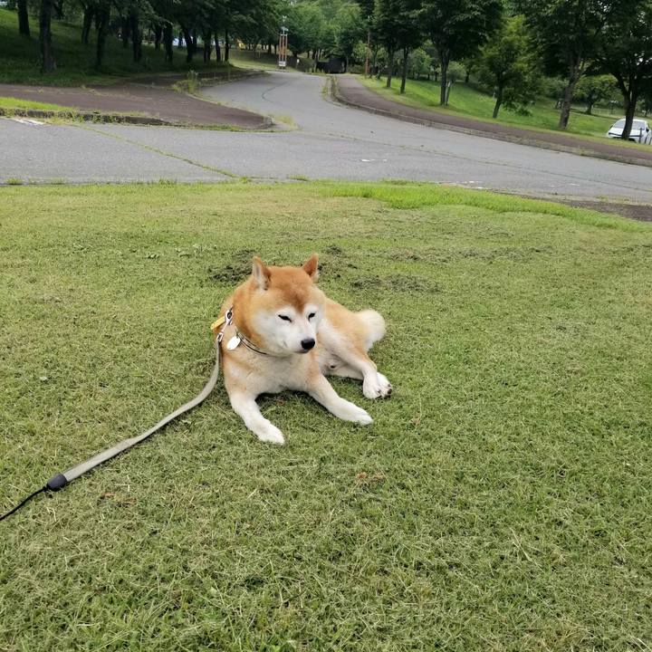 9e85d5c8 8553 4e0d b89a 1b1d0976d9b4 1623138349127