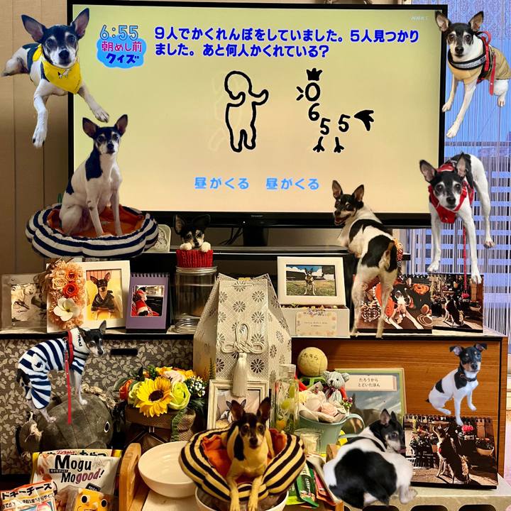 9e85d602 74ae 4f7d bba7 bf2bbb33b9dd 1671573962629