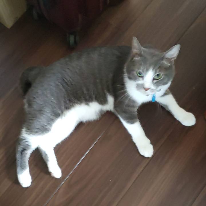 9e85d991 1421 4857 8068 297e42e43cd5 1690841327470