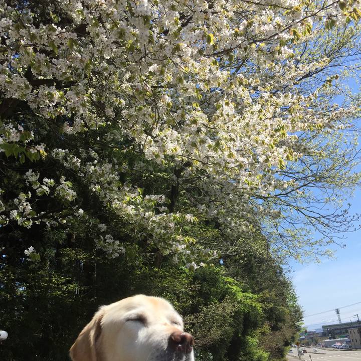 9e860d24 148c 4abd bc3a 4c3e008dfebc 1555154142274