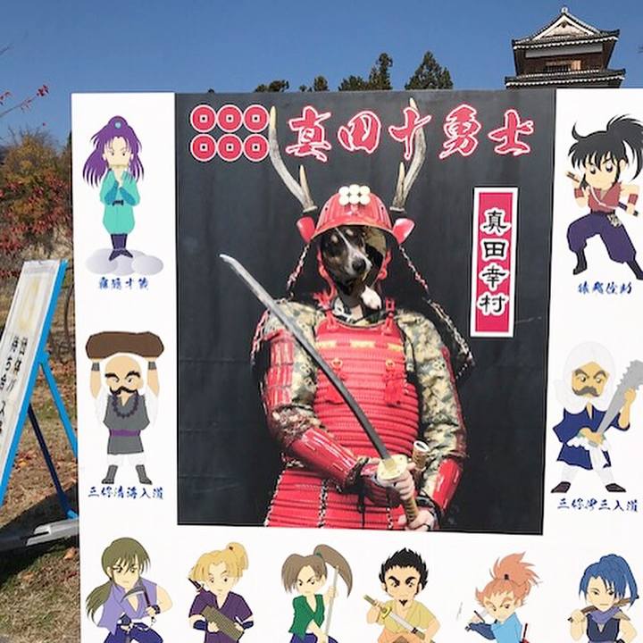 9e8633b7 0994 4af6 830a 96a87917437e 1510905869702