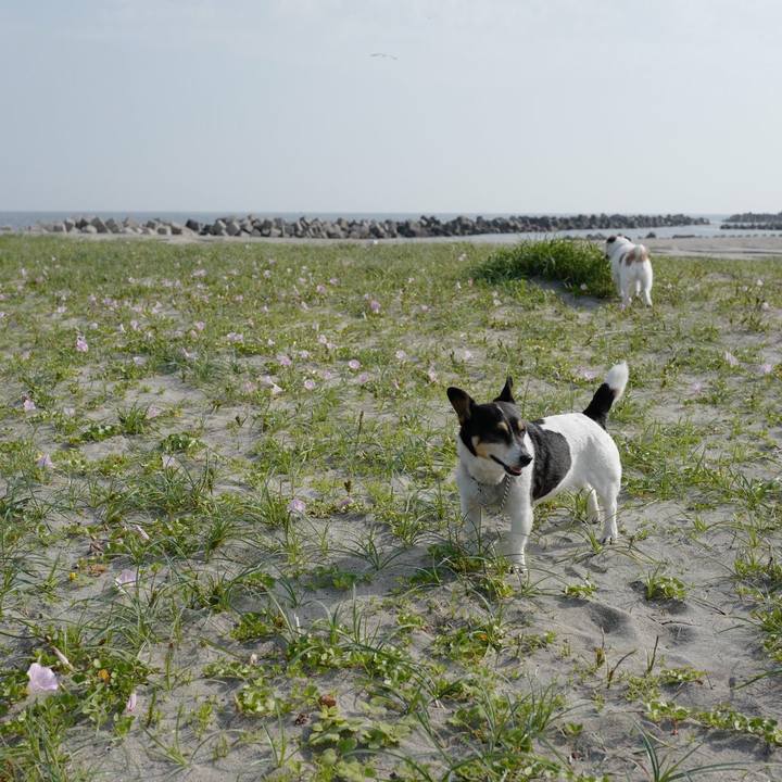 9e8643fc a171 48bc b070 0bf2745b7e30 1527307075106