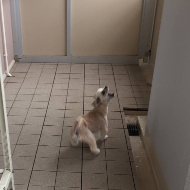 9e867184 131b 4e30 b5cf a26b56e1bbc2 1561940908085