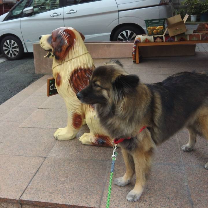 9e8674b4 9776 48b9 81a1 07165998eb71 1768894951641