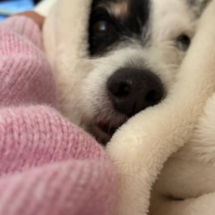 9e86acaf 9851 48e8 bc60 baee54605442 1762837951531