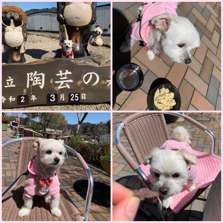 9e86c833 25cb 491a 921e 2a263933cf16 1585133158253