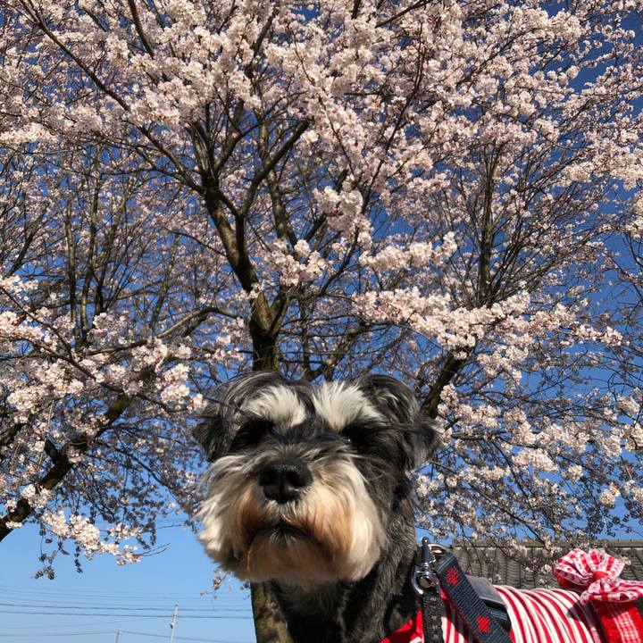 9e86e320 2a36 40e5 bf42 bde6ecf0dfcc 1649469900876