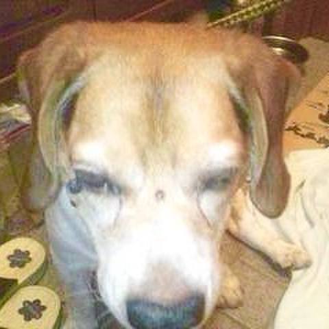 9e86ea82 63a8 42ed 967b 54aa1d89171e 1755297731773