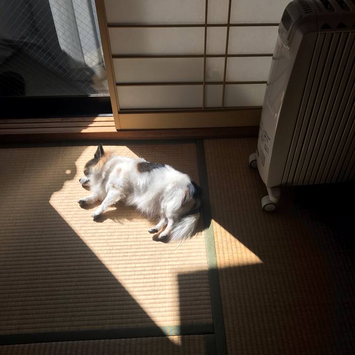 9e86f0d3 aeee 4d3c ae5e 59a9d59b8ca9 1645669020012