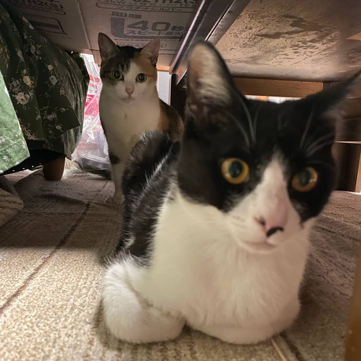 9e87470d 68e8 4bae 918d 43b1018dd2fc 1682080096824