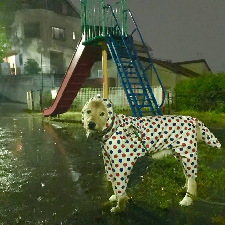 9e8759a9 e302 4011 8971 6265ebe101f6 1630619135185