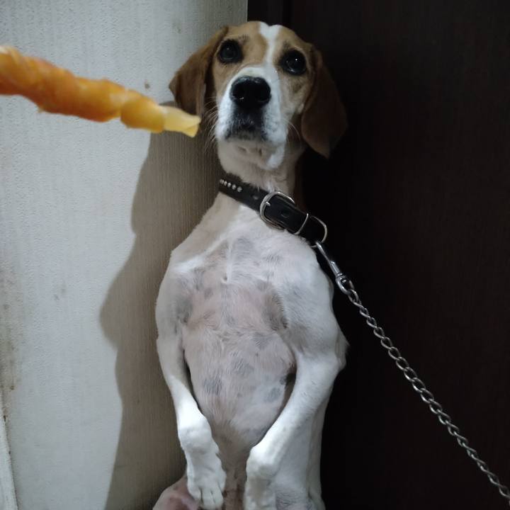 9e87d3a0 9074 4ded 96ad f29e731c4be8 1661518554156