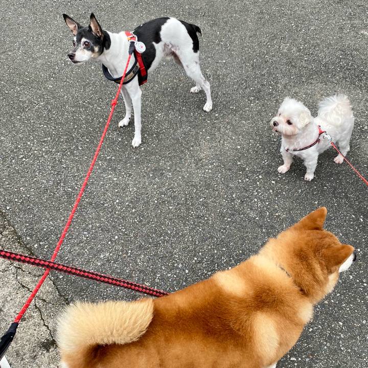 9e884804 f1d4 4a97 b19d 60bef8786e1a 1632043391644