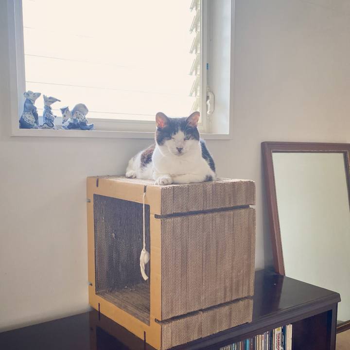 9e885e90 adc0 44de 99d1 238b36424423 1622590006945