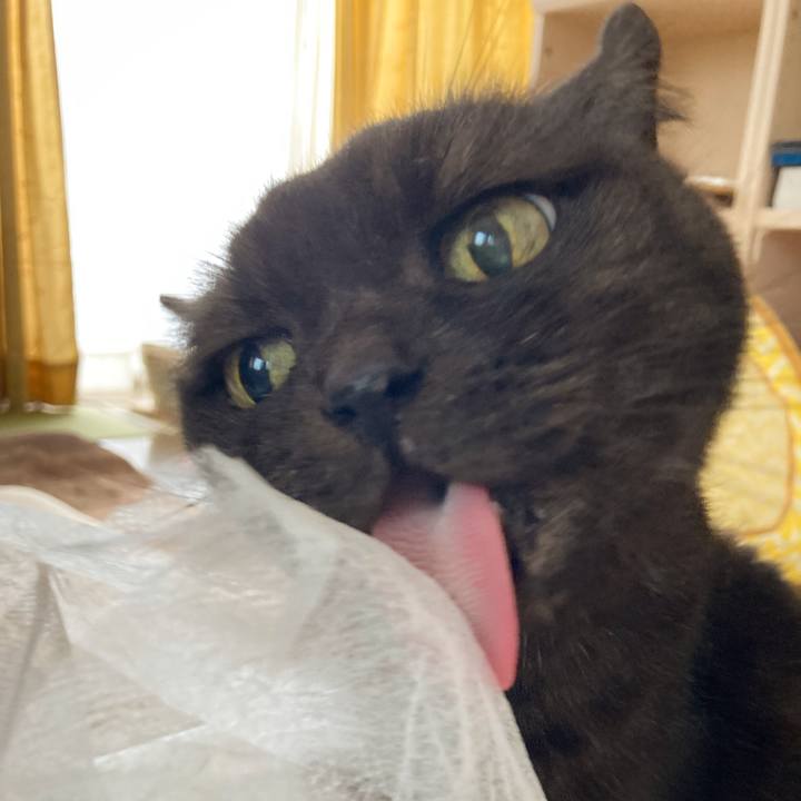 9e887a87 fe18 4934 80a2 529b20d1c87d 1629814747211