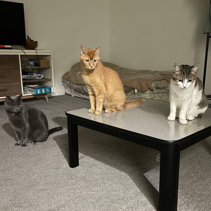 9e8887dc 991e 4b65 904f b2d137cee11b 1695688444815