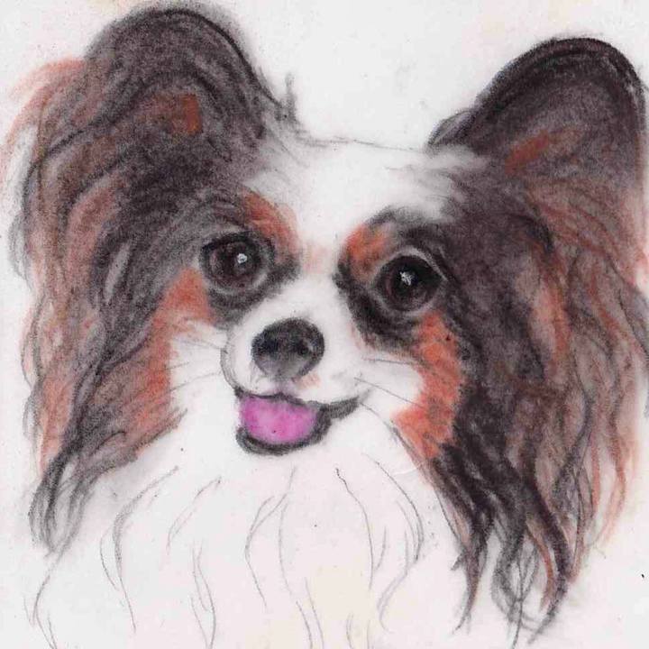 9e88c7fd 018a 4329 96a3 7f13e9de2187 1648477608253