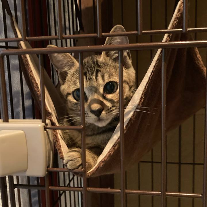 9e88d65b 9e71 4566 b5a0 0b86eeff98cb 1661644304289