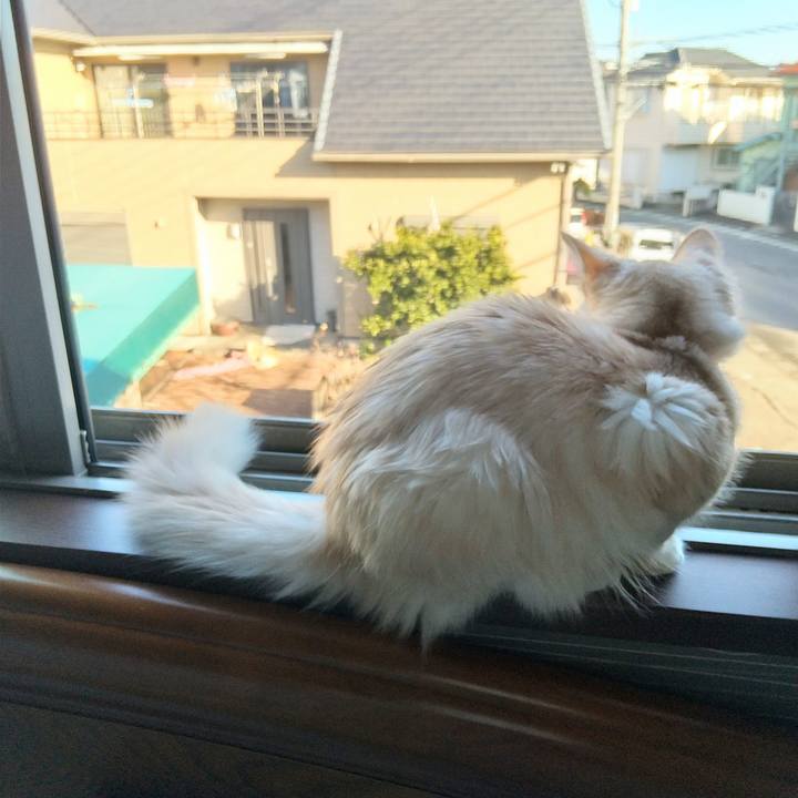 9e88d75e 86d6 4b06 b8c5 81784bc0c1f2 1611879564752