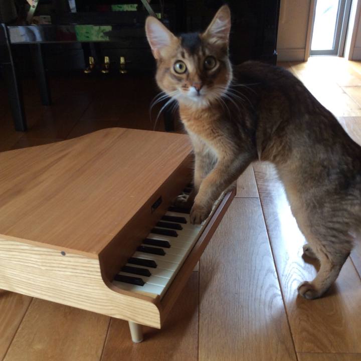 9e88db00 245b 49a9 8700 42a922b77c65 1564547772430