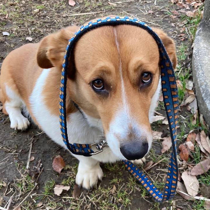 9e88f528 5602 4631 8ffb 5bdf2c01b481 1674262787681