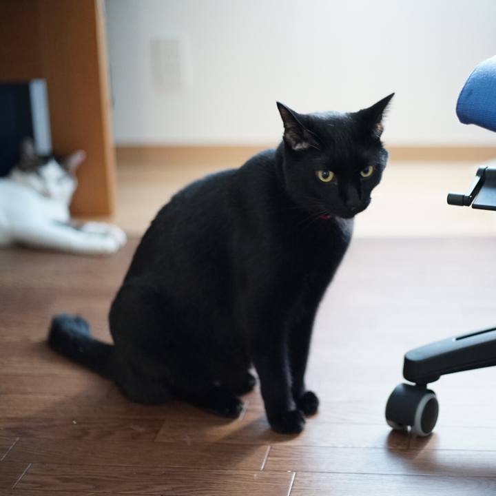 9e88fed0 4bdf 4416 85b3 1585d158303d 1532336123892