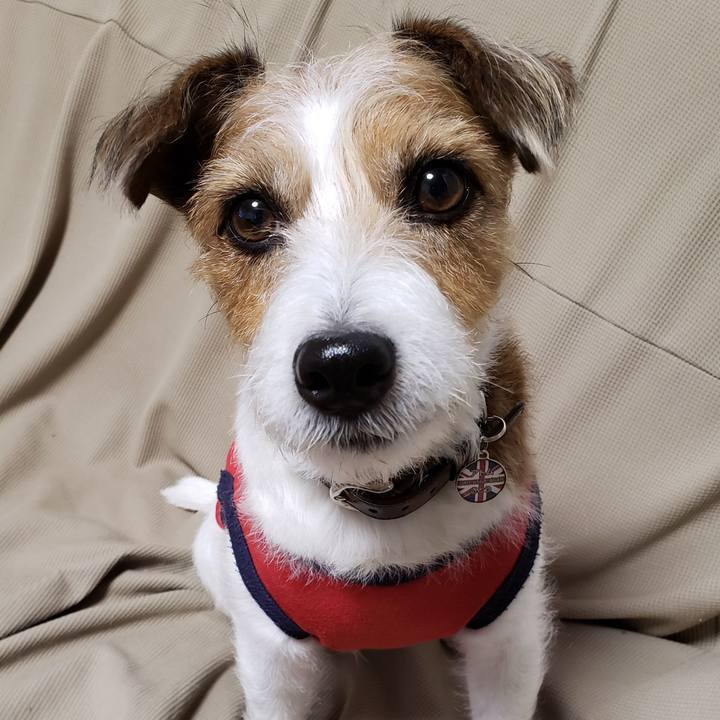 9e890b43 358f 4b6b 93ea 449f0ba3fb12 1768028036449