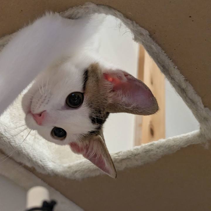 9e891795 1936 43f7 bf57 5438e08c0a08 1765877692421