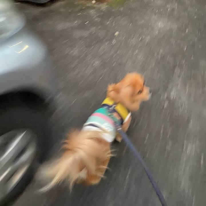 9e8950fb 21fd 44d6 908f 619b5764bf07 1575927458902