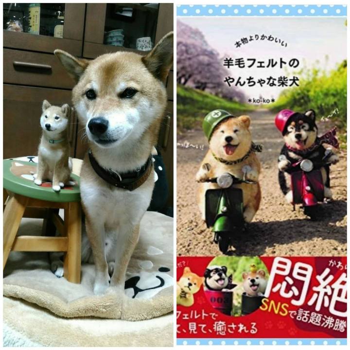 9e897c75 ca77 4094 b346 baab99209ca6 1614929256315