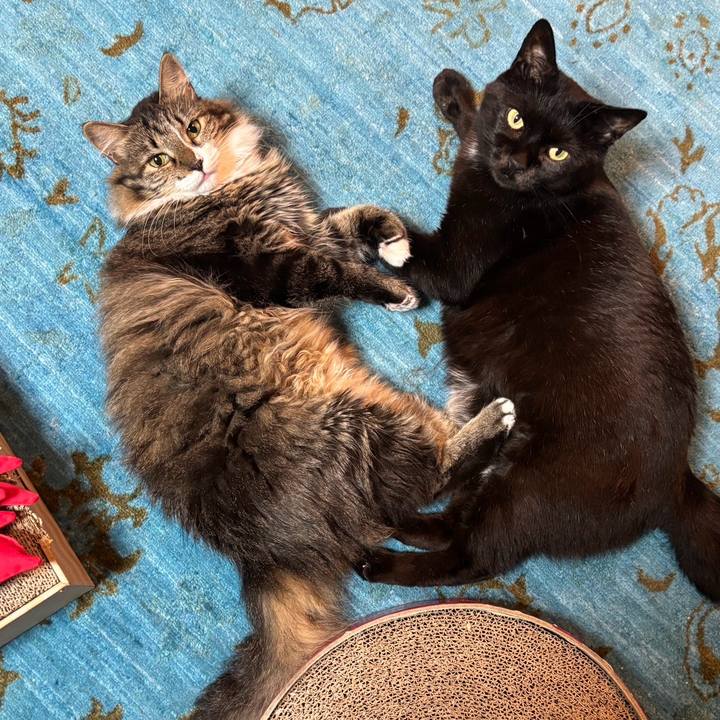 9e89a3df d4a5 426d a021 b2111550c4f4 1756770363919