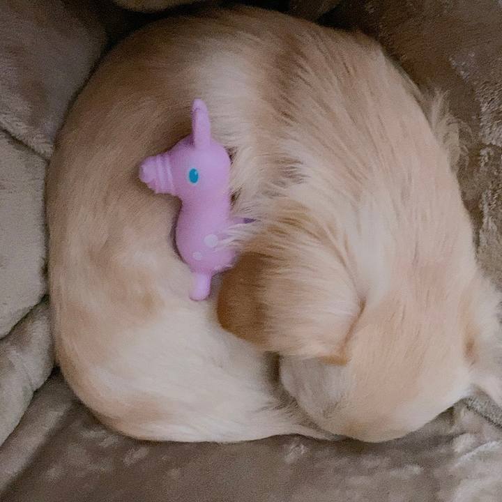 9e89bd40 0524 4815 9941 6f77f20e820b 1611367775576