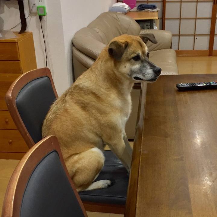 9e89c6d0 41ed 4be2 a2d0 d537c9eb546d 1533293457139