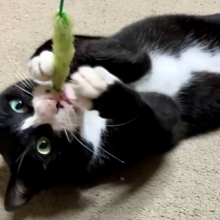 9e89d1cc 7397 4c9c 8fa4 6b73b884ff78 1729310530237