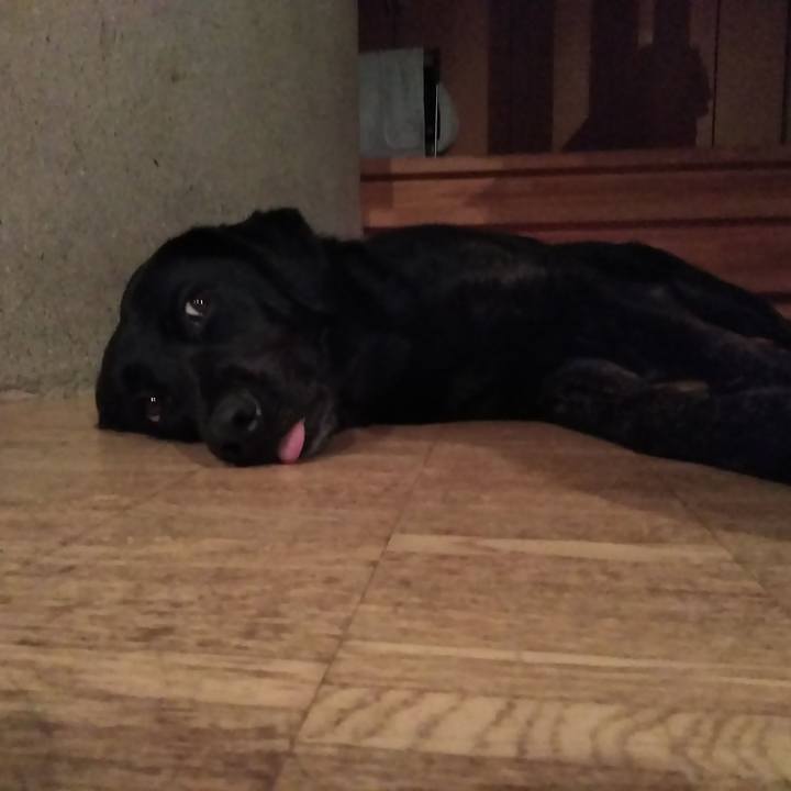 9e89d3cb 691c 4323 8362 c248a050da50 1566653615098