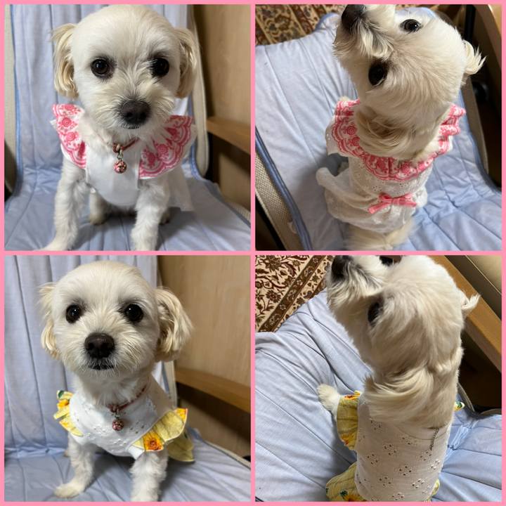 9e89d7e5 e1a4 44ea a3ff d66af4de220c 1660538495702