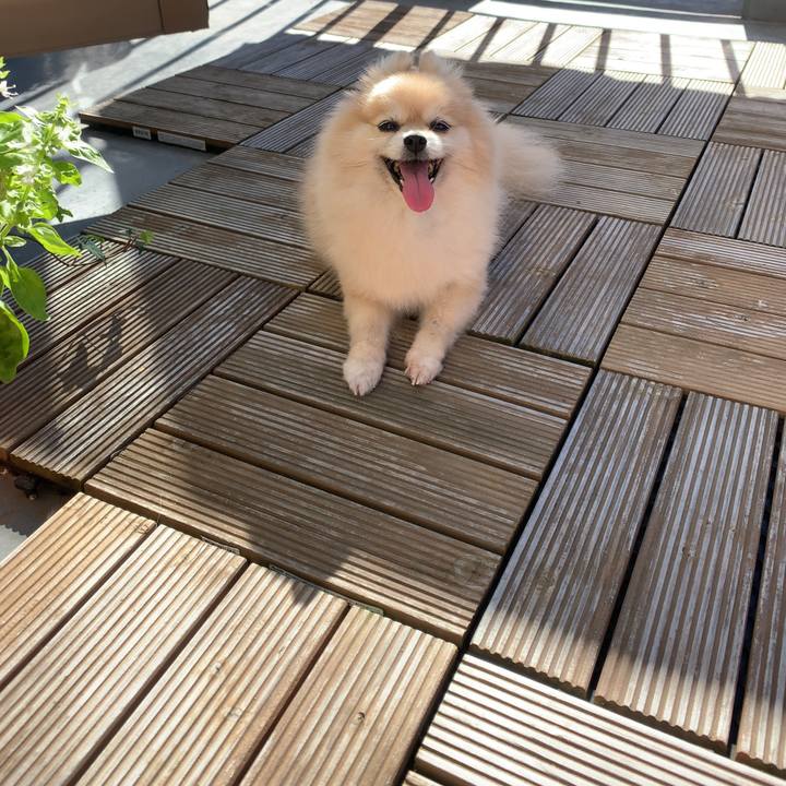 9e89dc6c af4c 496f 9e80 65b200a9ea5f 1599616161856