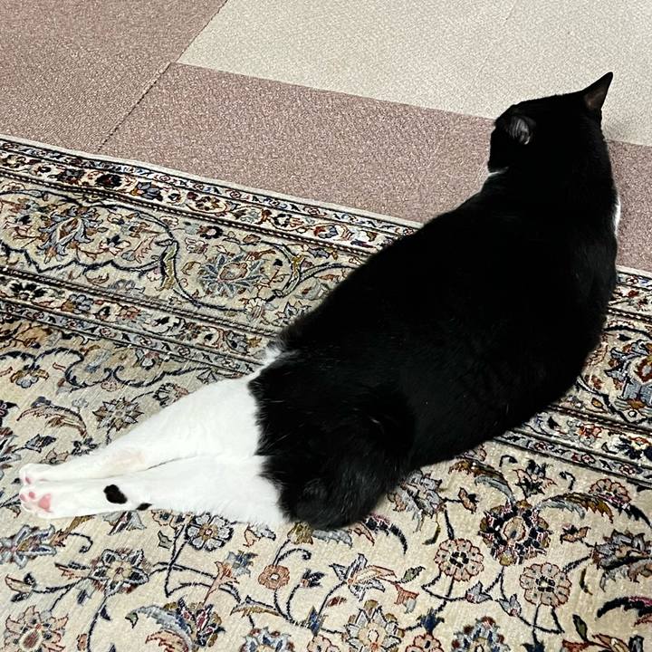 9e89fe01 419d 4d23 baa1 c16a9cb31946 1761465434427