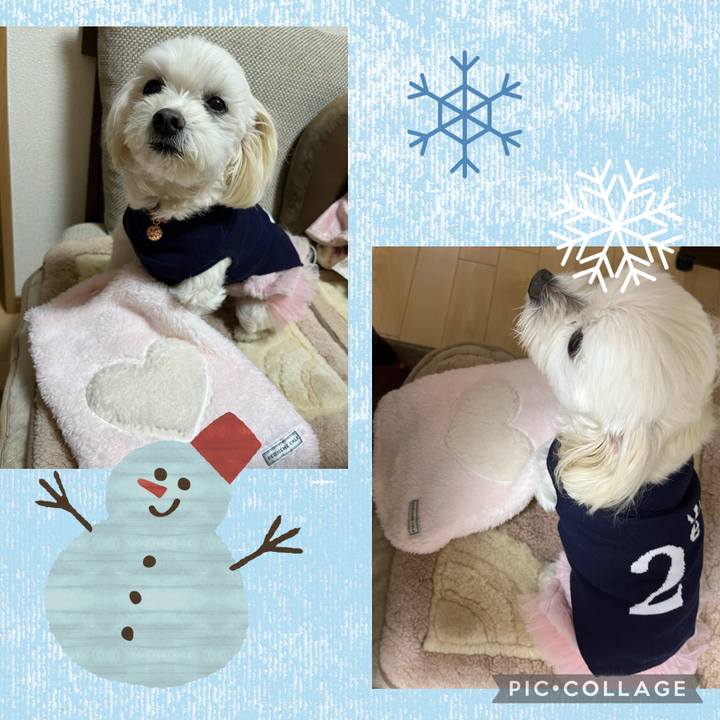 9e8a0824 a9e7 4be0 a2b5 015044547987 1672829693383