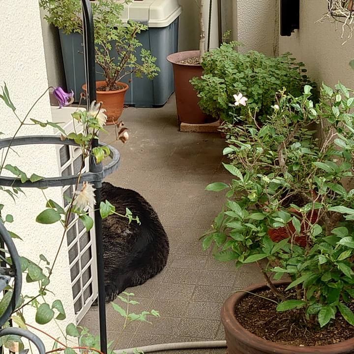 9e8a4068 bbf2 468b b0d0 81ed320cbaa7 1632785908755