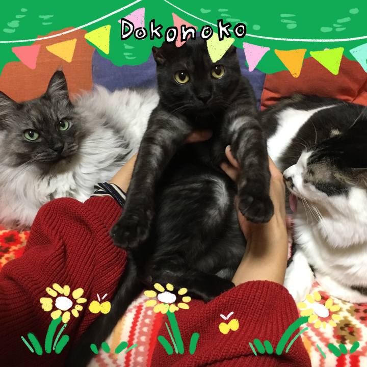 9e8a45f1 b0ca 4088 839f d4b911e2db8c 1711065728852