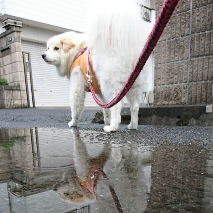 9e8a4cfb 55b4 44ad 8f1a aff5a9619244 1536787904162