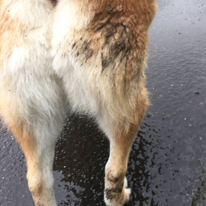 9e8a80b2 a4d2 4c08 835f 9b5367c301d1 1529565381693