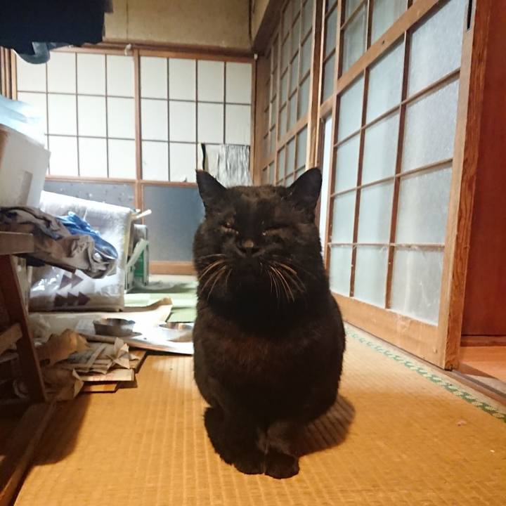 9e8ac005 52f5 42f2 8fbb d5203c4edb86 1616099896917