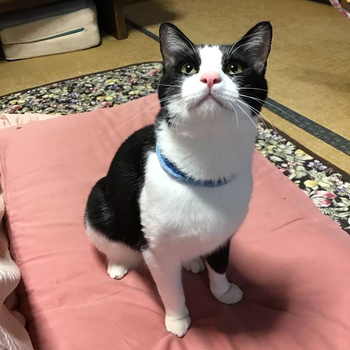 9e8ac82c bb1a 402e adde e9c5302e8769 1683709473545