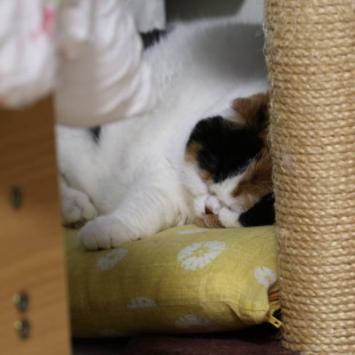 9e8acc5f 4600 40bc a89a ee35643020ce 1713563530714