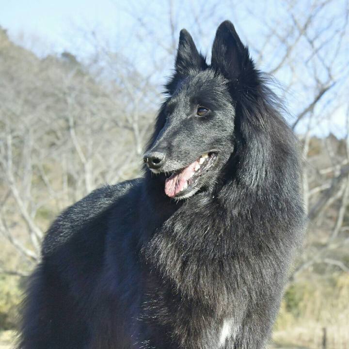 9e8b0d36 201e 4037 bf2b 5fc7901bdfbb 1515997591289