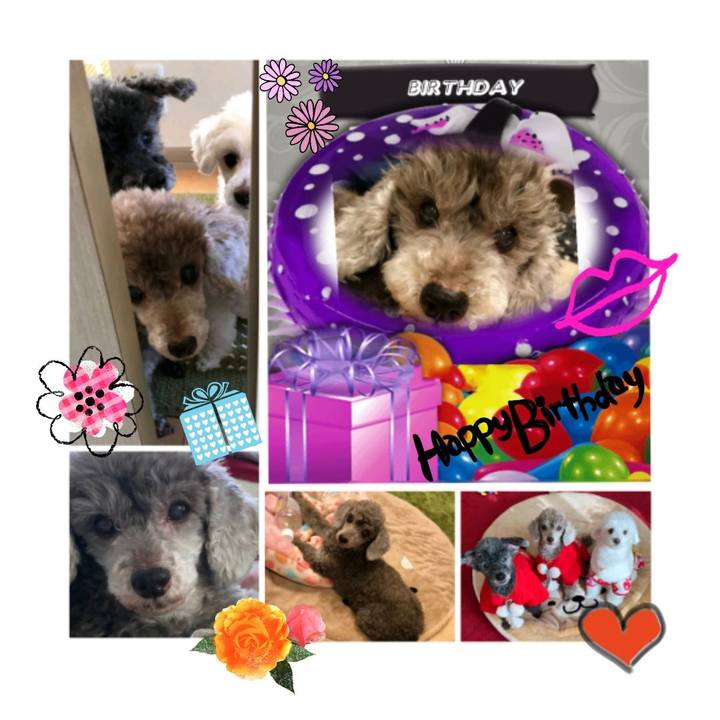 9e8b1609 75db 4bed 8132 08ccca3df5a4 1524338905327