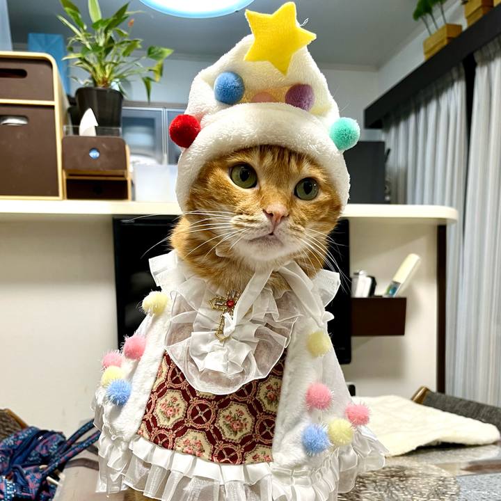 9e8b37b7 3df2 46de 8a69 823a38049c6e 1697111113288